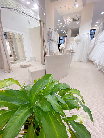 Фото свадебный салон prima bridal